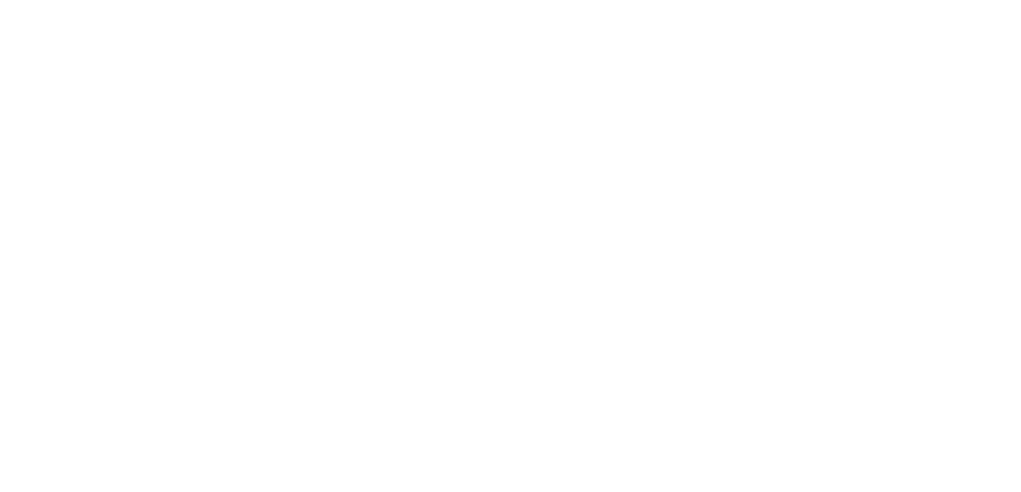 ARVDOM Logo